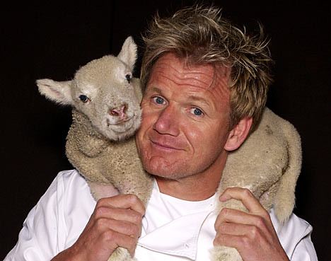 Gordon Ramsay Net Worth: How Much Money Does the Famous Chef Make?